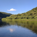 Municipal Waste Management Plan | SproulStateForest_2