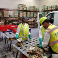 Anaerobic Digestion Feedstock Analysis | 20200317_135051
