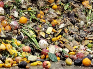 Anaerobic Digestion Feedstock Analysis | 20200316_083145