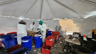 Waste Characterization Study | 1000029846